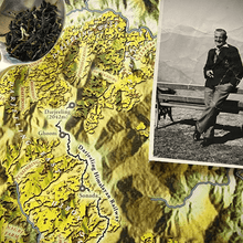 Load image into Gallery viewer, Loose Leaf Darjeeling Tea First Flush from Phoobsering Tea Estate.  Great Uncle Freddie was manager there.