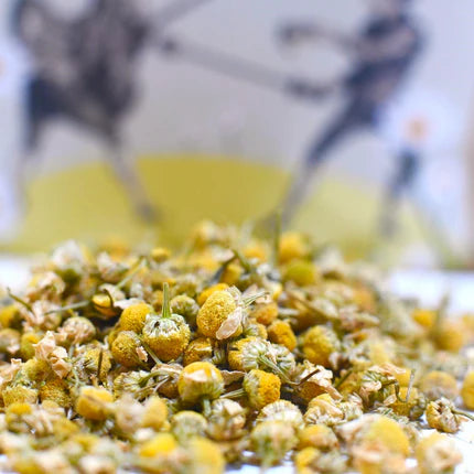 Camomile flowers