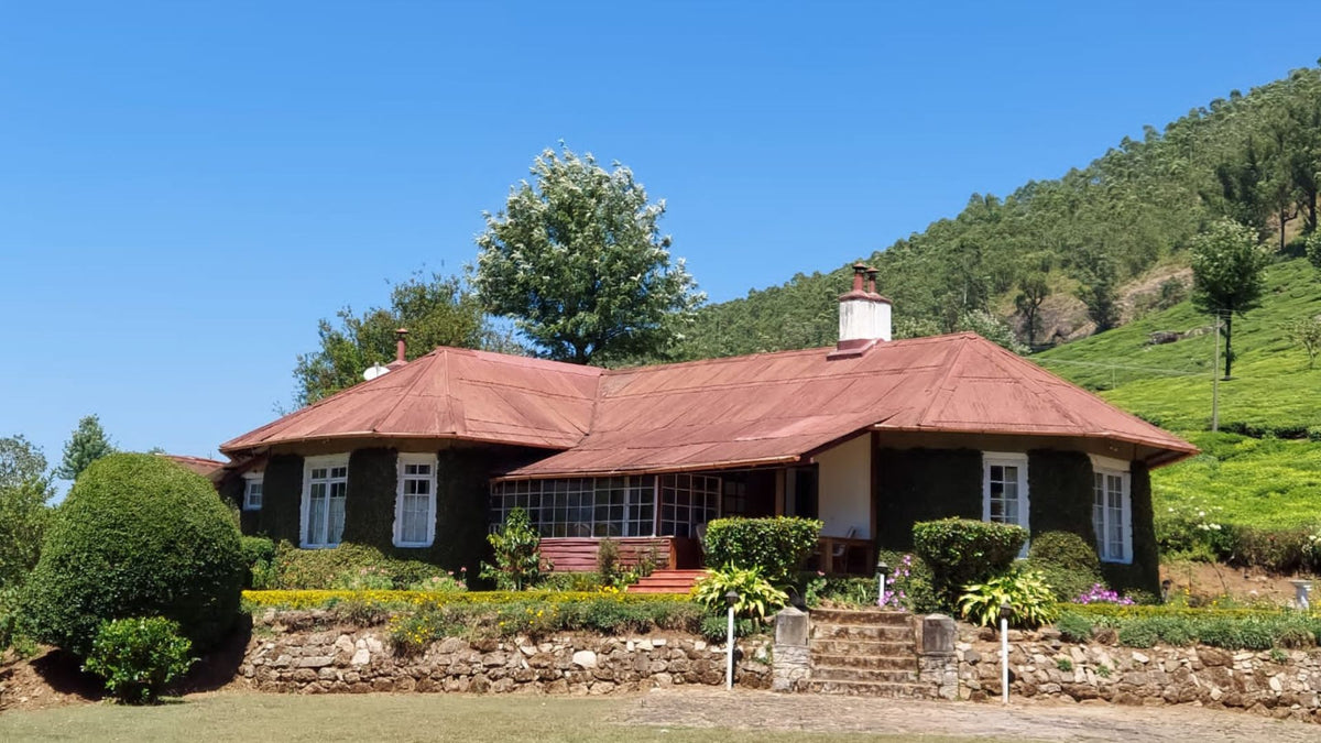 The Bungalow Blend Tradition on Tea Estates – Two Spoons Tea