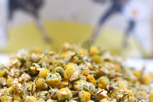 Camomile tea health properties