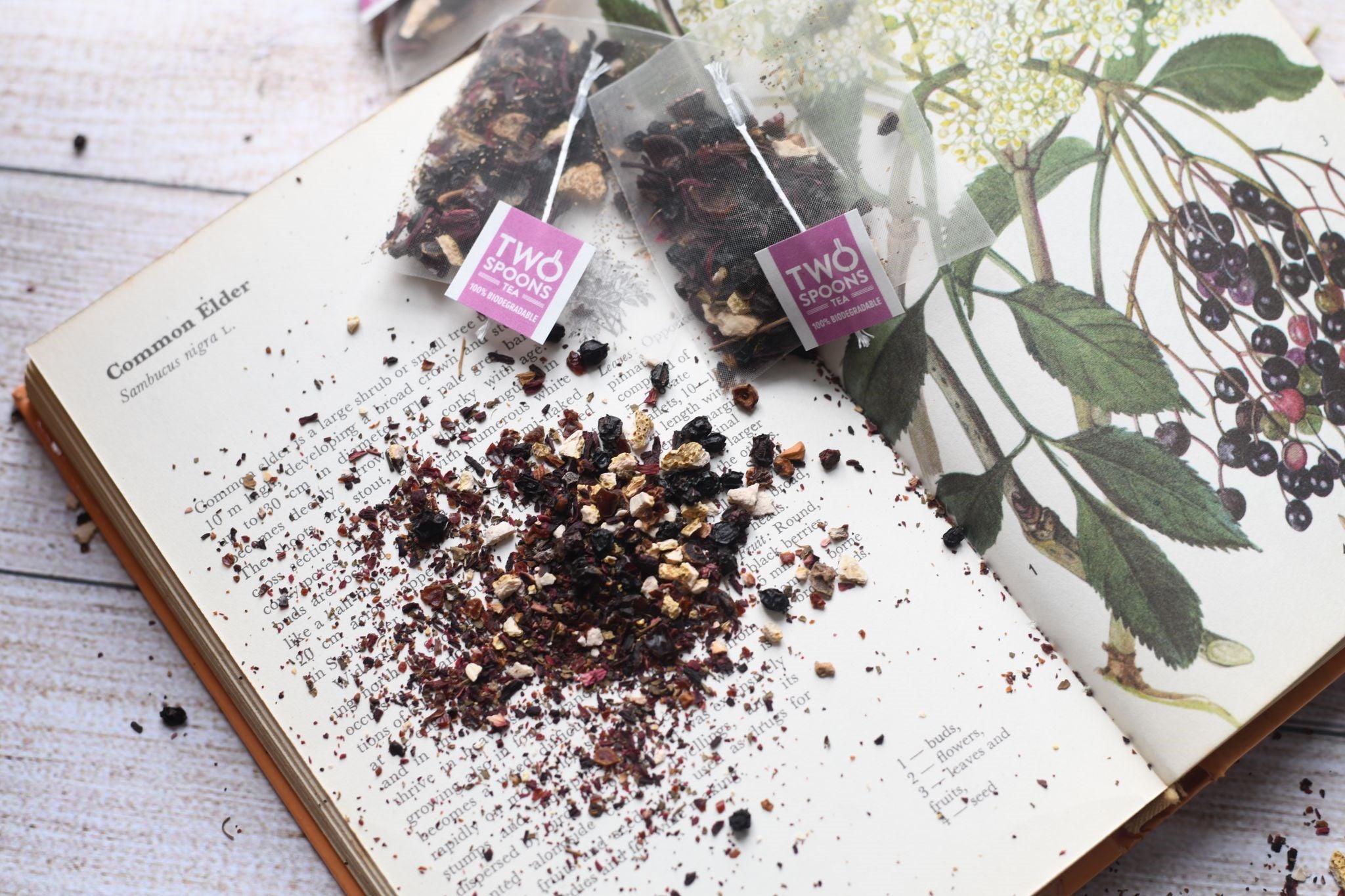 Hedgerows – Two Spoons Tea