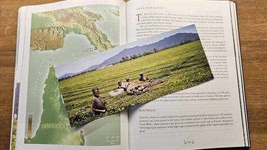 Papua New Guinea Tea