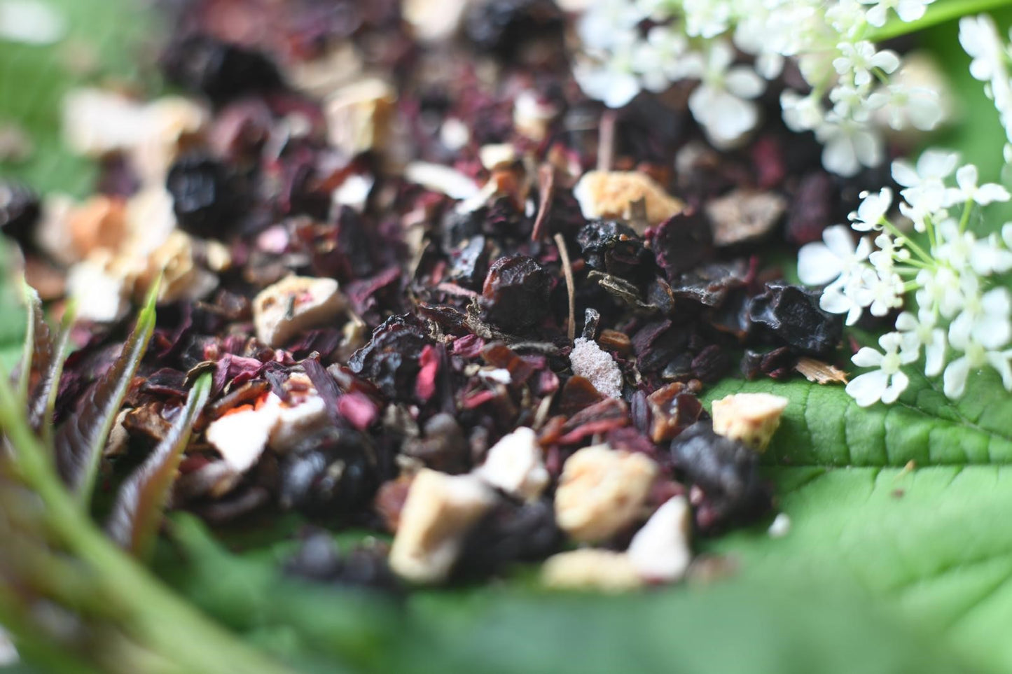 Hedgerows & Hibiscus Tea